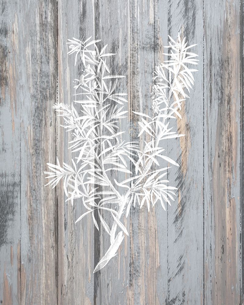 Botanical Wood 4 art print by Kimberly Allen for $57.95 CAD