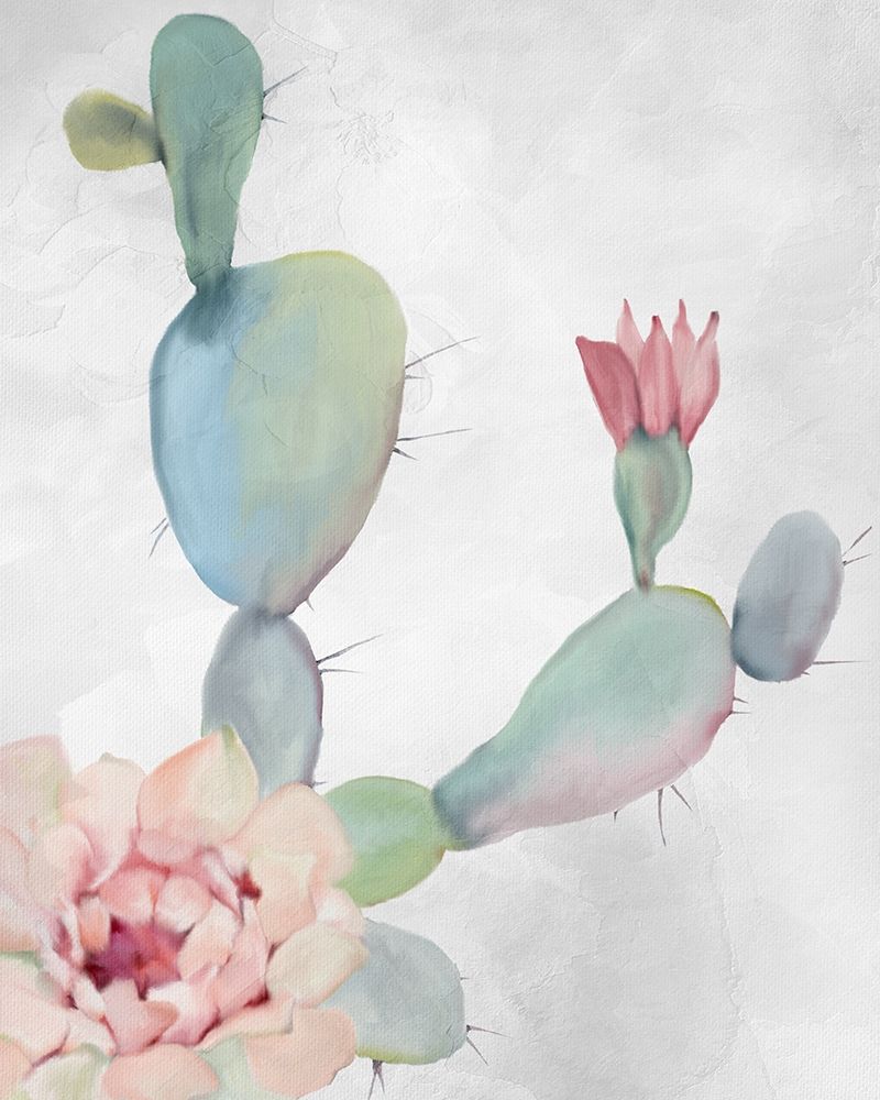 Cactus Blooming 1 art print by Kimberly Allen for $57.95 CAD