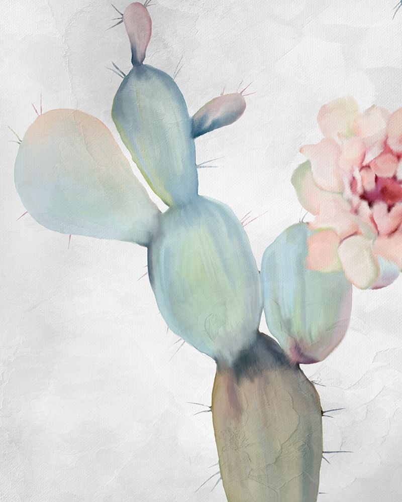 Cactus Blooming 2 art print by Kimberly Allen for $57.95 CAD