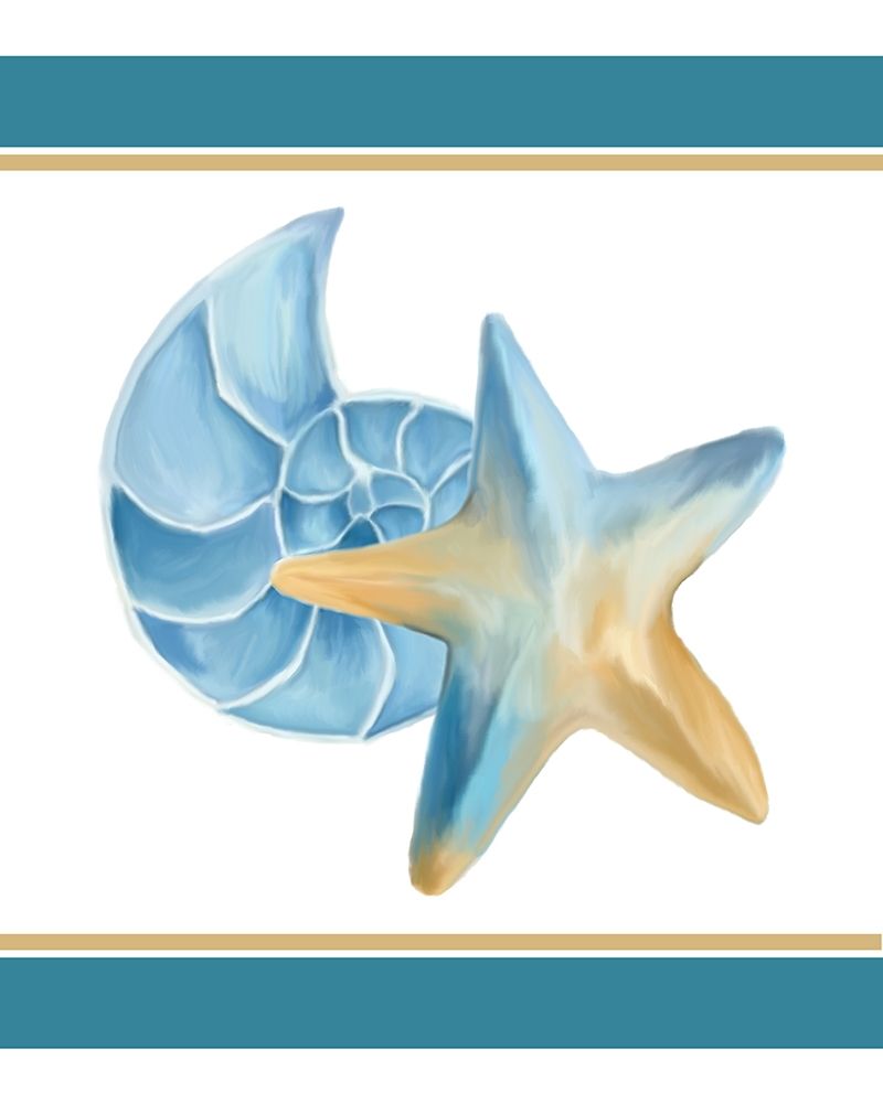Seashore Shells 2 art print by Kimberly Allen for $57.95 CAD