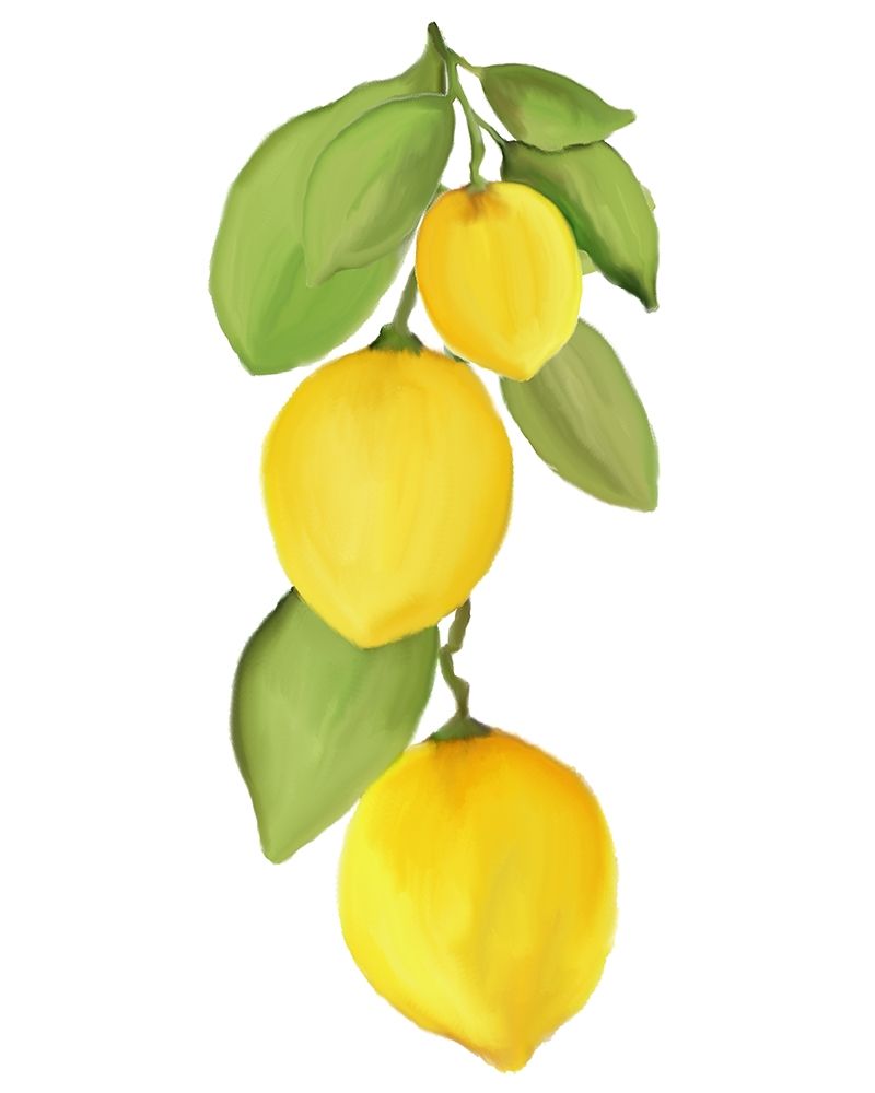 Fresh Lemons 4 art print by Kimberly Allen for $57.95 CAD