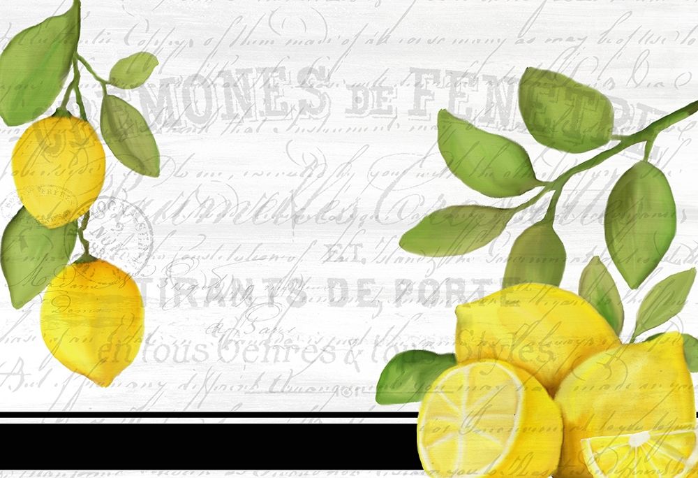 Fresh Lemons 7 art print by Kimberly Allen for $57.95 CAD