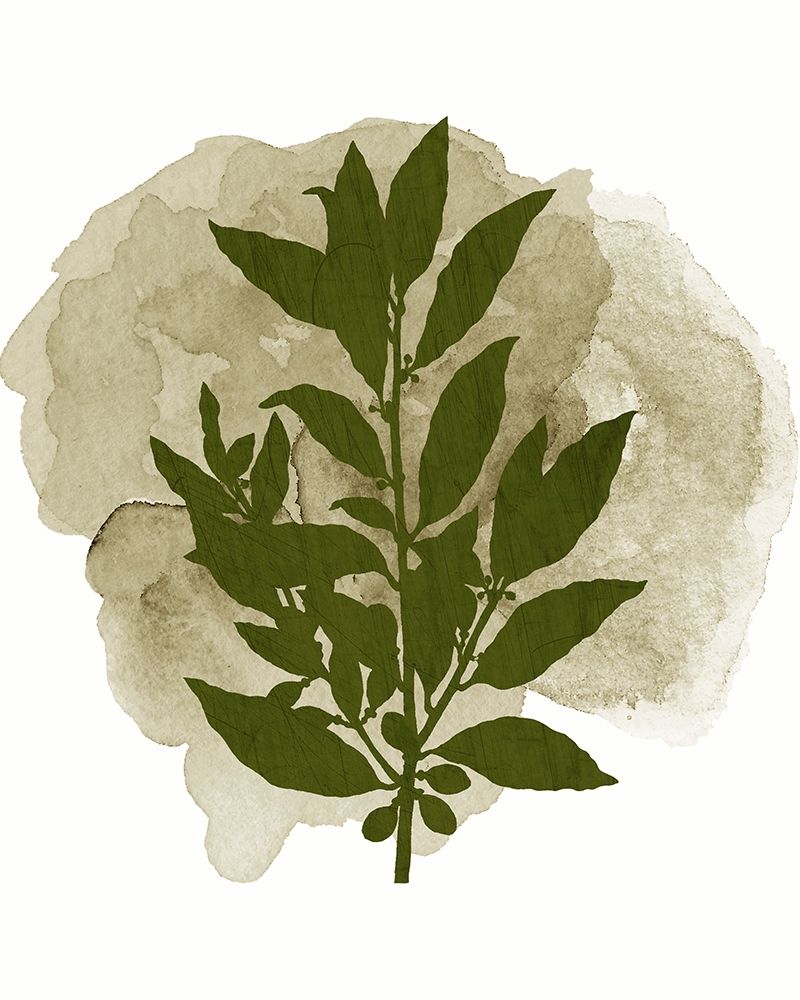 Botanical Branch 1 art print by Kimberly Allen for $57.95 CAD
