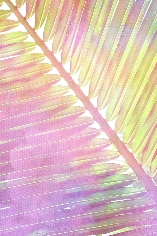 Tropical Palms 2 art print by Kimberly Allen for $57.95 CAD