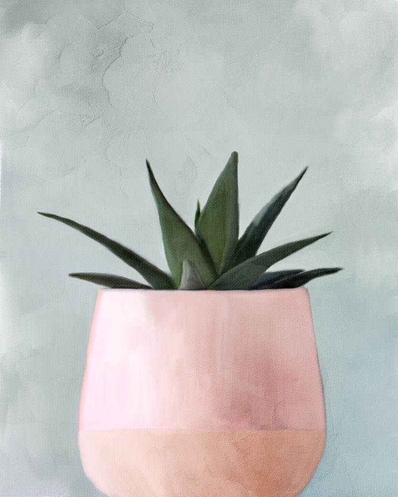 Potted Succulent 1 art print by Kimberly Allen for $57.95 CAD