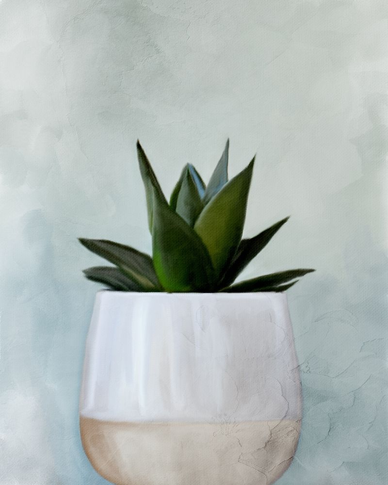 Potted Succulent 2 art print by Kimberly Allen for $57.95 CAD