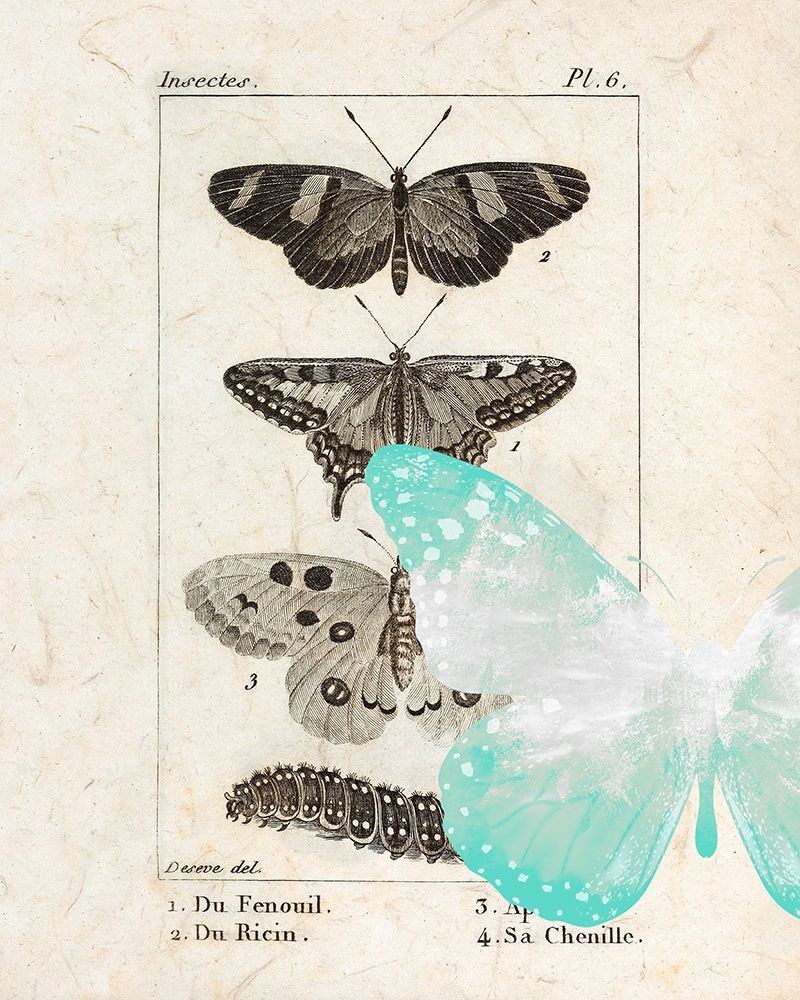 Field Guide 2 art print by Kimberly Allen for $57.95 CAD