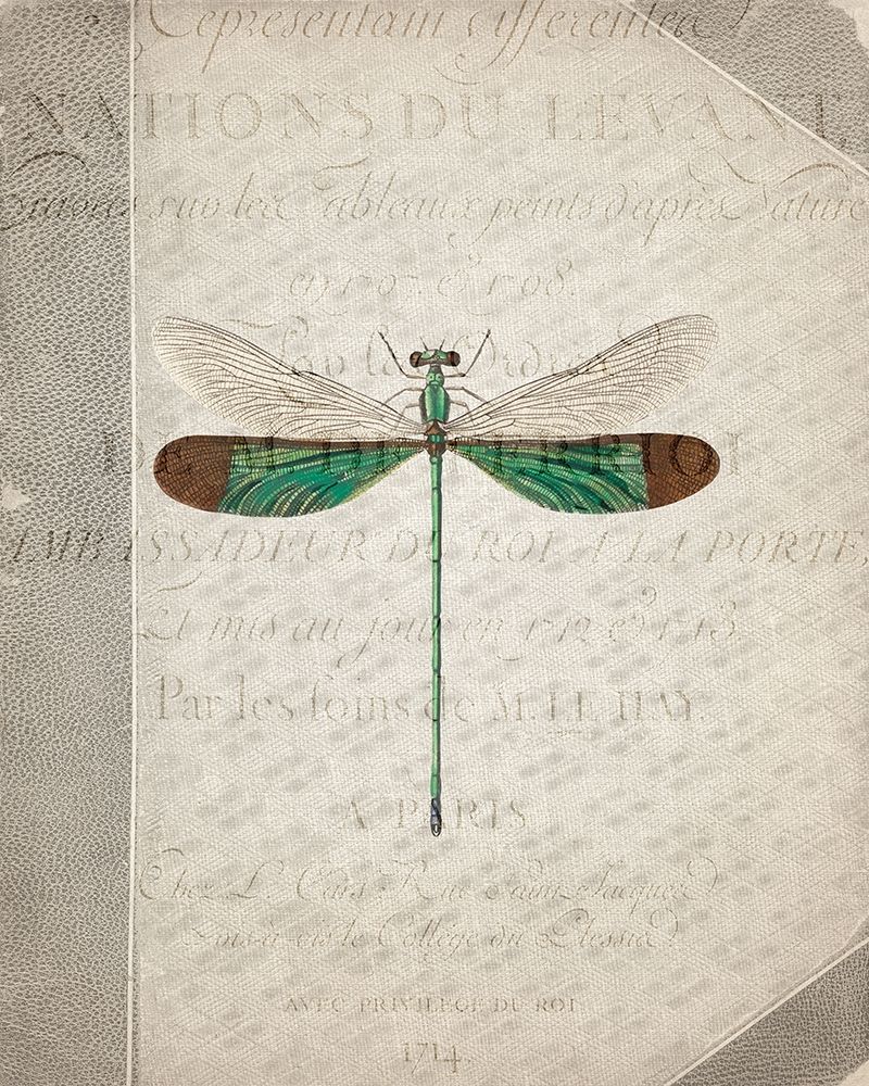 Dragonfly Book 2 art print by Kimberly Allen for $57.95 CAD
