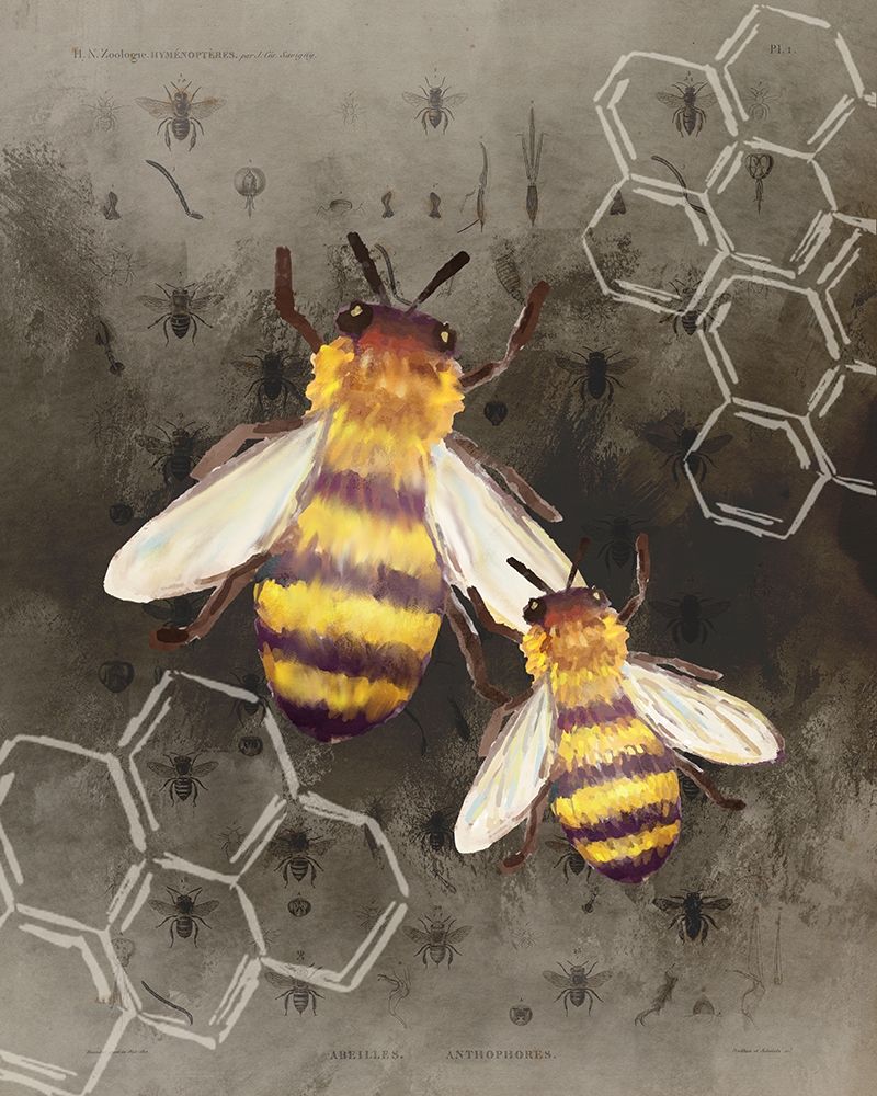 Bee Charmer 2 art print by Kimberly Allen for $57.95 CAD