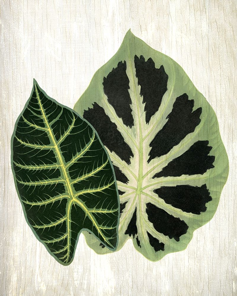 Botanical Greens 2 art print by Kimberly Allen for $57.95 CAD