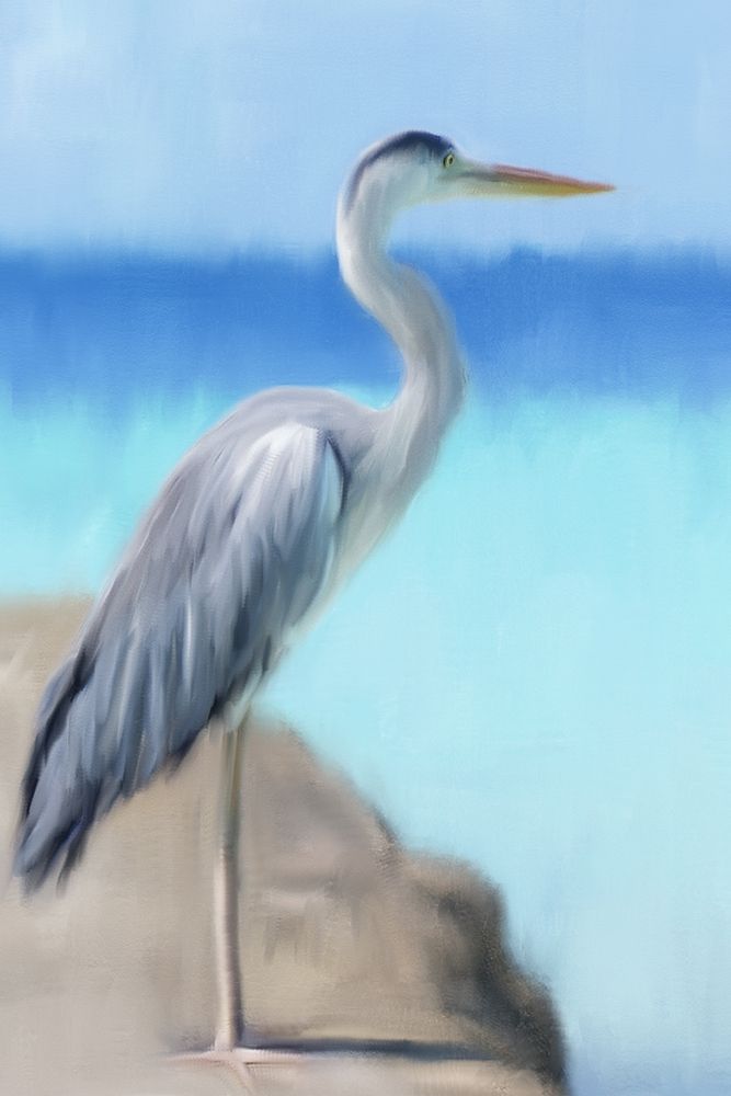Sea Heron art print by Kimberly Allen for $57.95 CAD