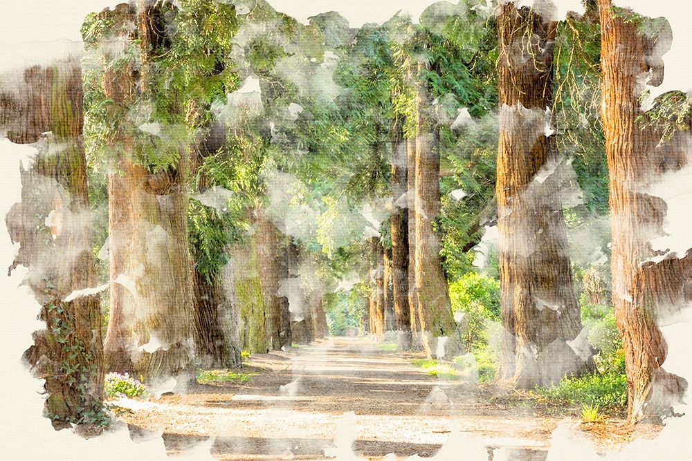 Tree Avenue art print by Kimberly Allen for $57.95 CAD