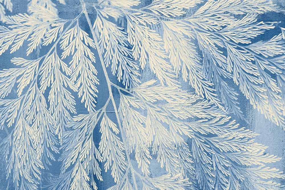 Fern art print by Kimberly Allen for $57.95 CAD