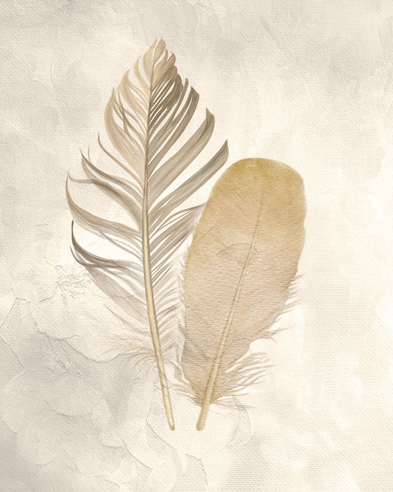 Two of a Kind 2 v2 art print by Kimberly Allen for $57.95 CAD