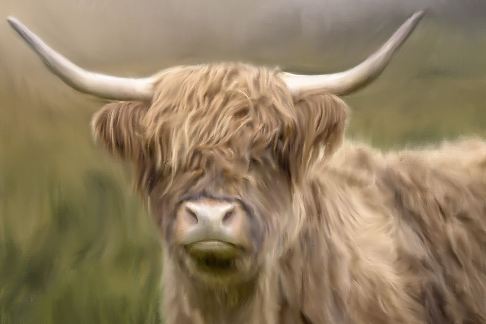 Highland art print by Kimberly Allen for $57.95 CAD
