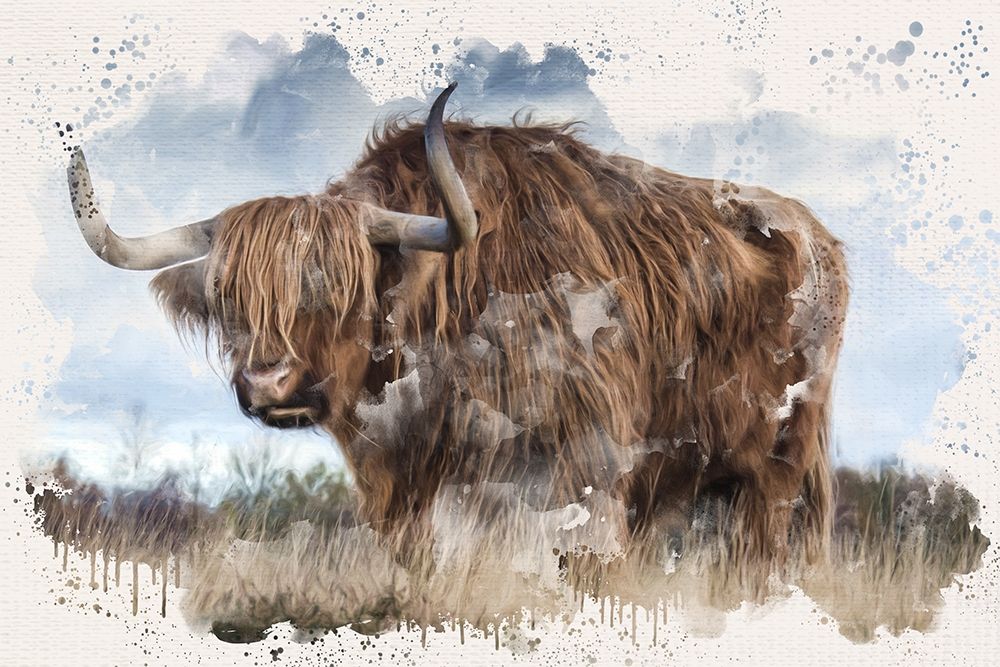 Long Horn art print by Kimberly Allen for $57.95 CAD