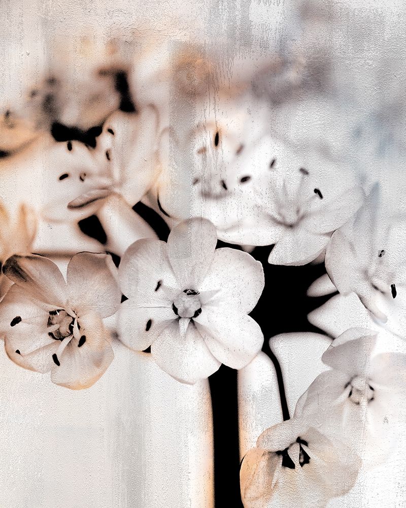 Leek Blossoms 1 art print by Kimberly Allen for $57.95 CAD
