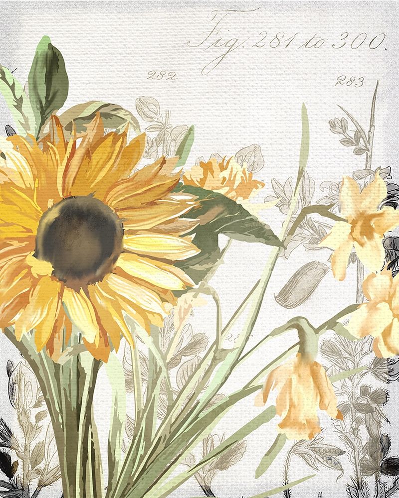 Wildflower Guide 1 art print by Kimberly Allen for $57.95 CAD