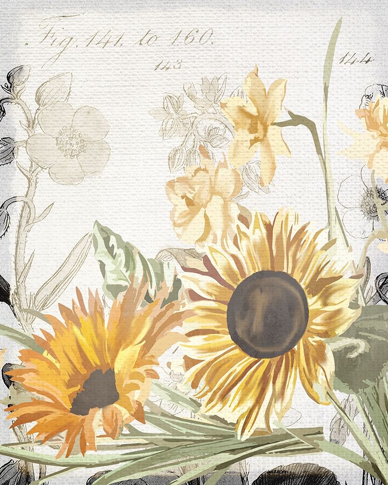 Wildflower Guide 2 art print by Kimberly Allen for $57.95 CAD