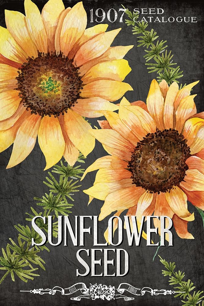 Sunflower Seed art print by Kimberly Allen for $57.95 CAD