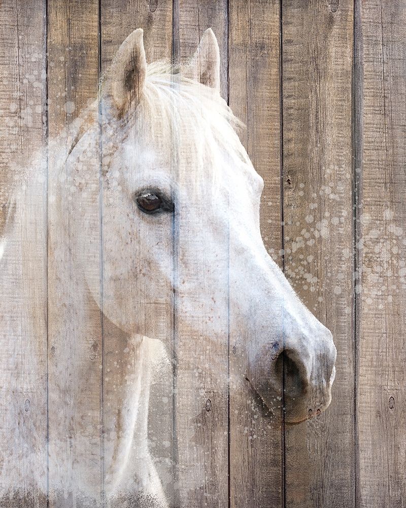 Painted White art print by Kimberly Allen for $57.95 CAD