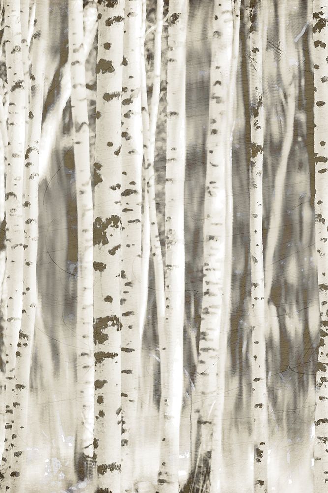 Birches 2 art print by Kimberly Allen for $57.95 CAD