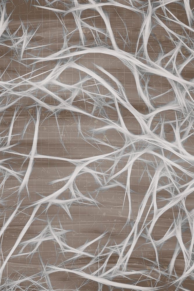 Branching 1 art print by Kimberly Allen for $57.95 CAD