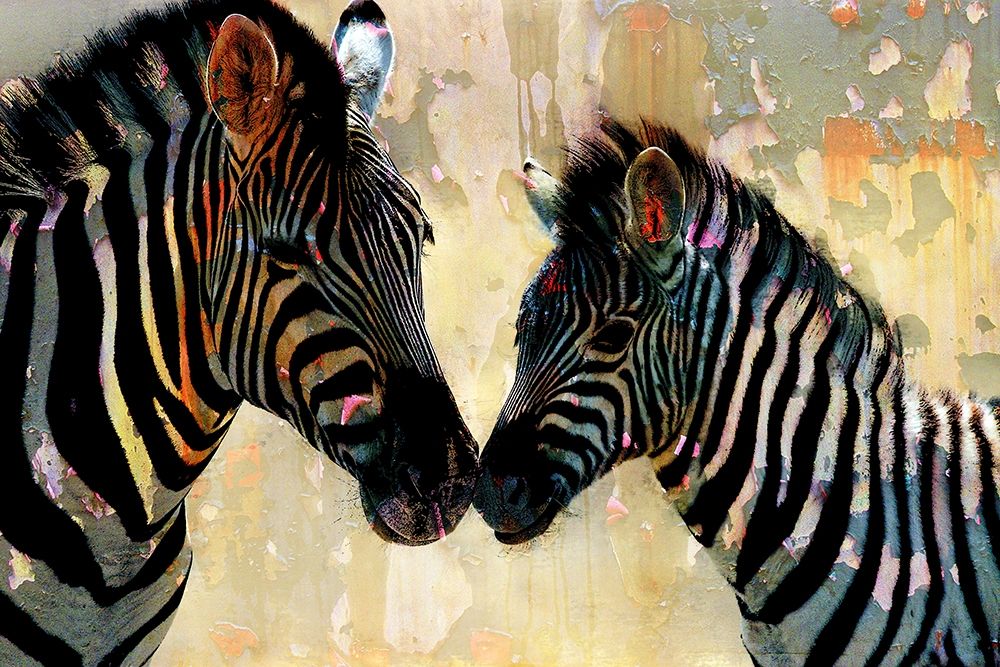 Zebra Love art print by Kimberly Allen for $57.95 CAD