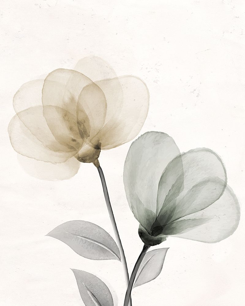 Open Bloom 1 art print by Kimberly Allen for $57.95 CAD