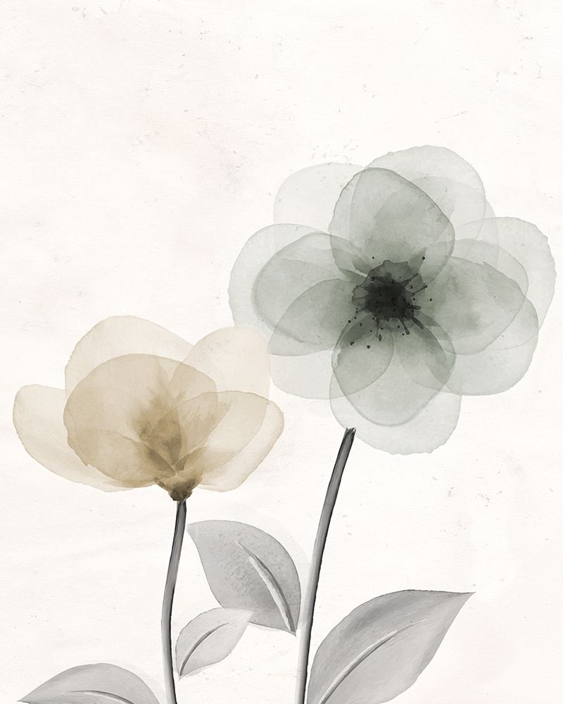 Open Bloom 2 art print by Kimberly Allen for $57.95 CAD