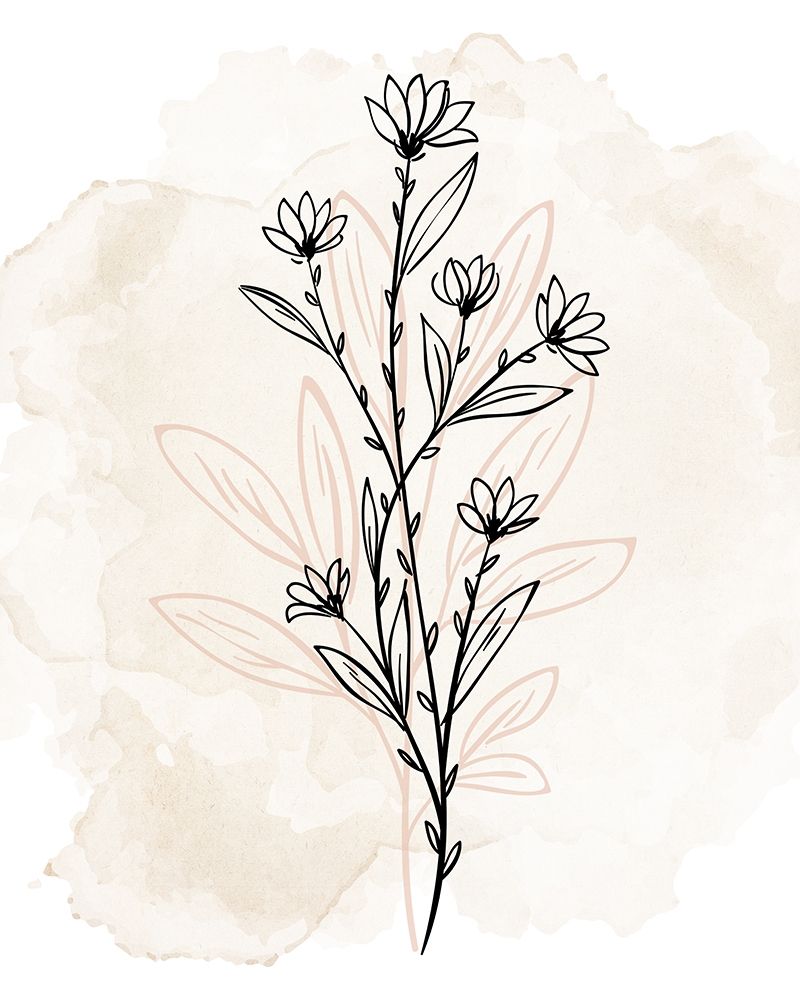Floral Sketch 2 art print by Kimberly Allen for $57.95 CAD