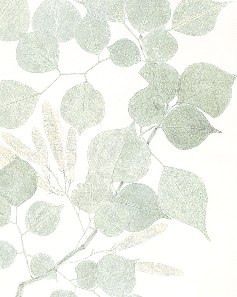 Soft 1 art print by Kimberly Allen for $57.95 CAD