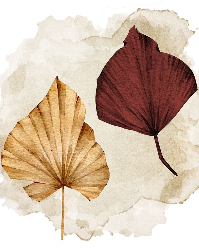 Fan 1 art print by Kimberly Allen for $57.95 CAD