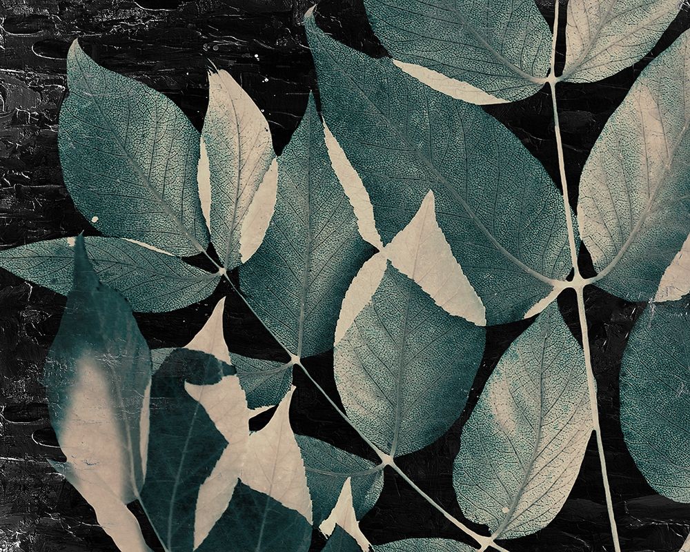 Dusty Leaves 2 art print by Kimberly Allen for $57.95 CAD