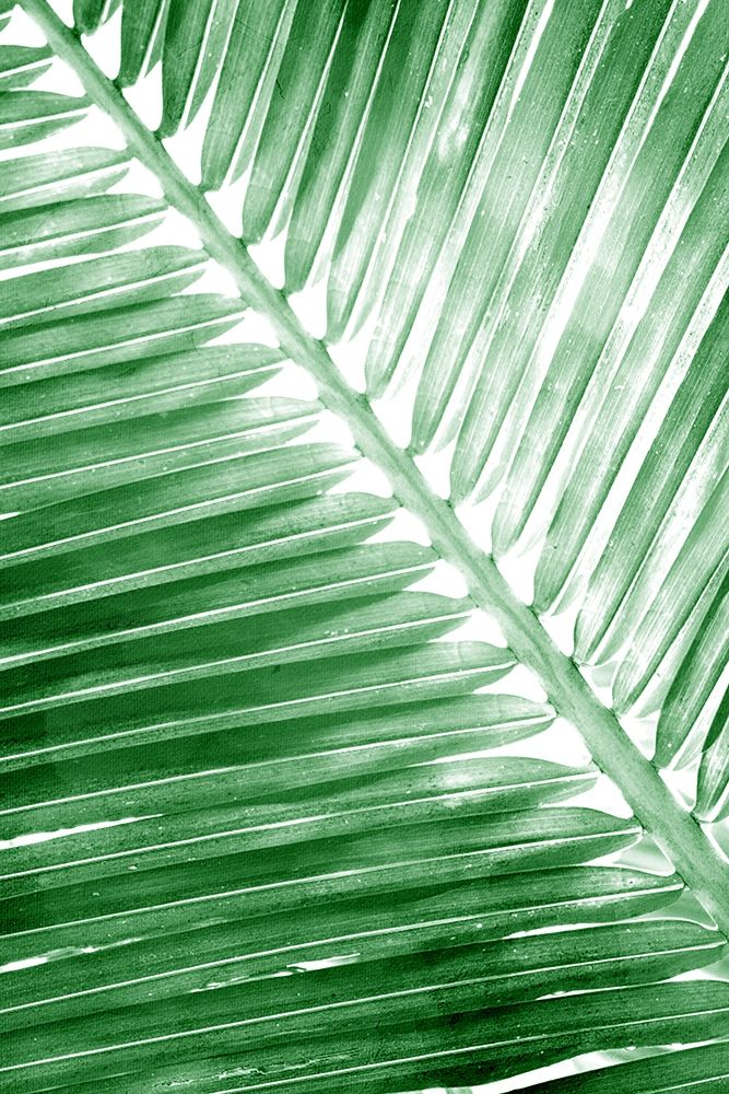 Tropical 2 art print by Kimberly Allen for $57.95 CAD