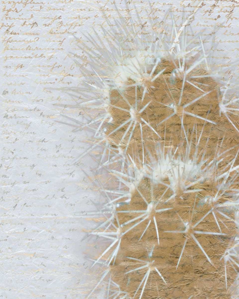 Desert Cacti 2 art print by Kimberly Allen for $57.95 CAD