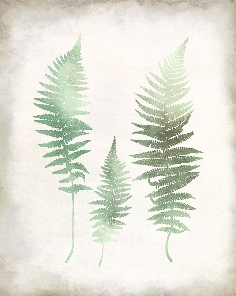 Watercolor Fern 1 Vintage art print by Kimberly Allen for $57.95 CAD