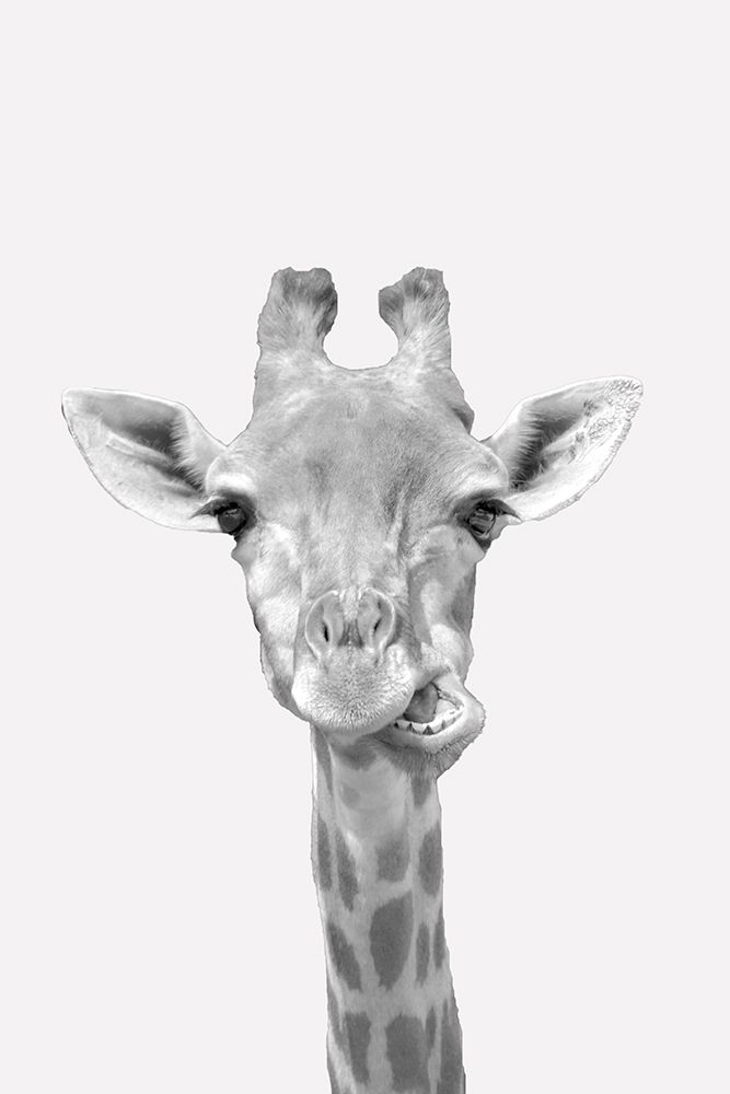 Quirky Giraffes 2 art print by Kimberly Allen for $57.95 CAD