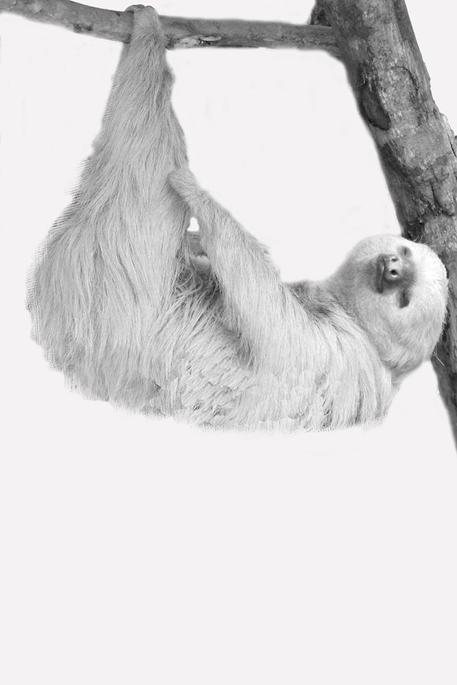 Quirky Sloths 1 art print by Kimberly Allen for $57.95 CAD
