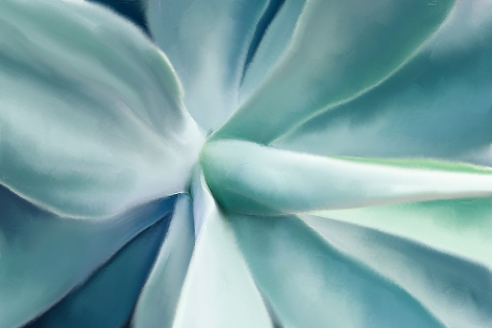 Agave art print by Kimberly Allen for $57.95 CAD