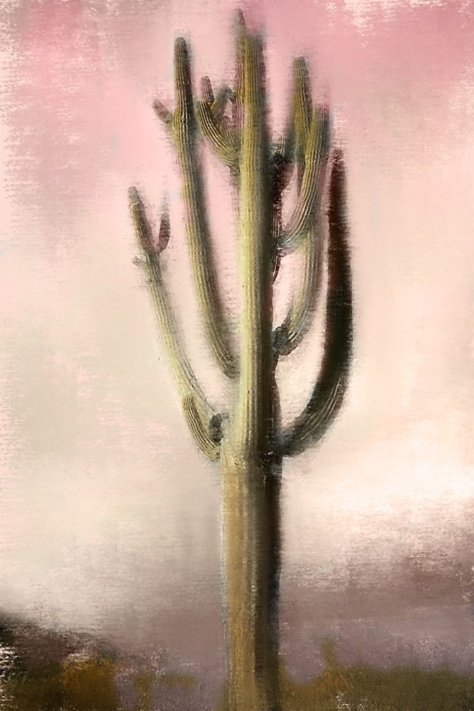 Cacti art print by Kimberly Allen for $57.95 CAD