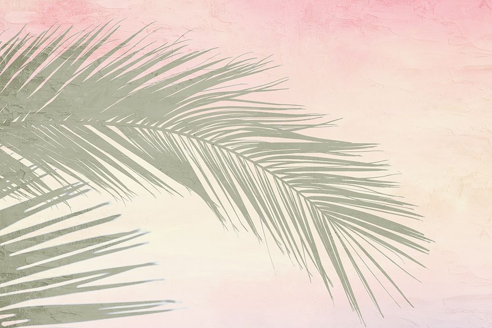 Palm art print by Kimberly Allen for $57.95 CAD