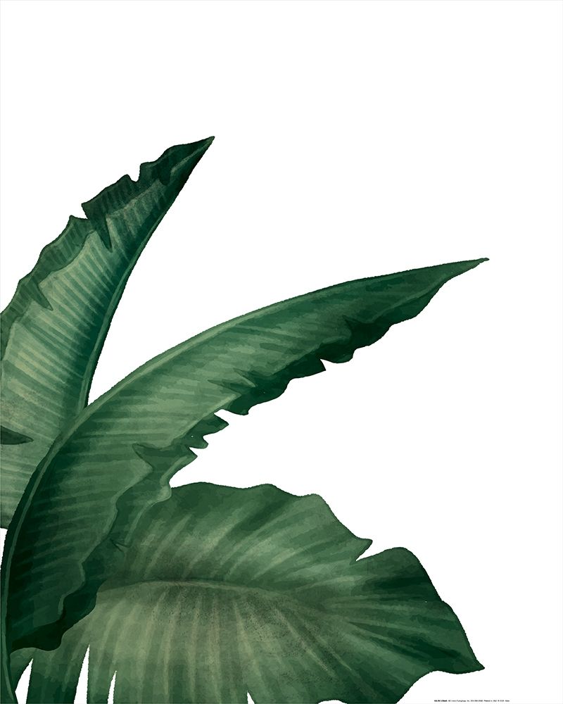 Palms 1 art print by Kimberly Allen for $57.95 CAD