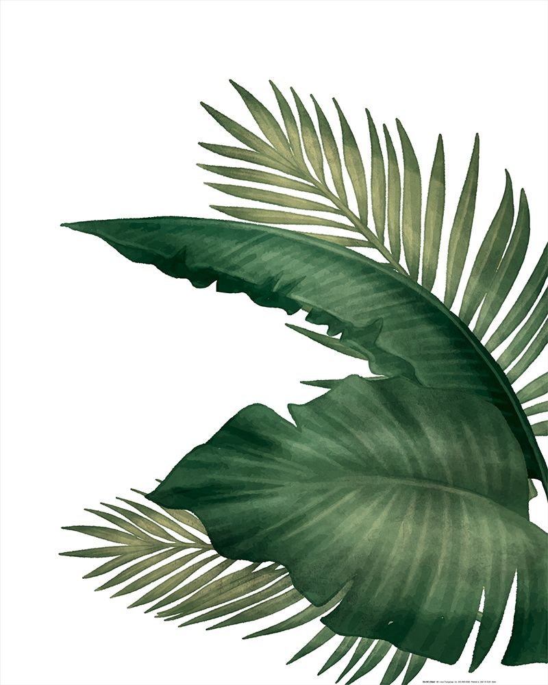 Palms 3 art print by Kimberly Allen for $57.95 CAD