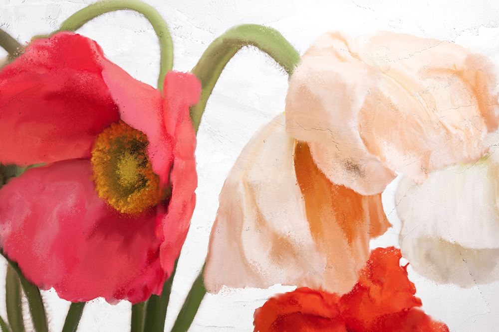 Poppies art print by Kimberly Allen for $57.95 CAD