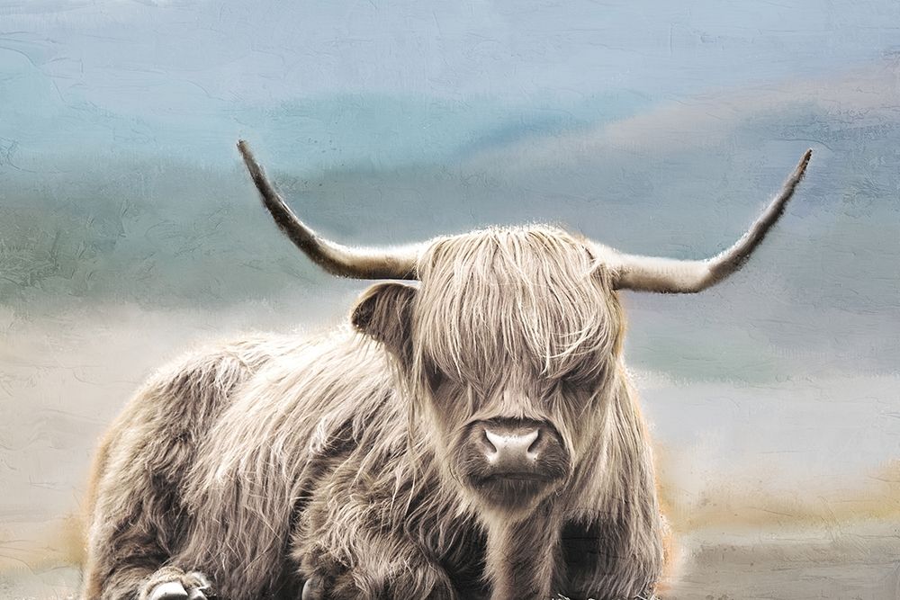 Highland art print by Kimberly Allen for $57.95 CAD