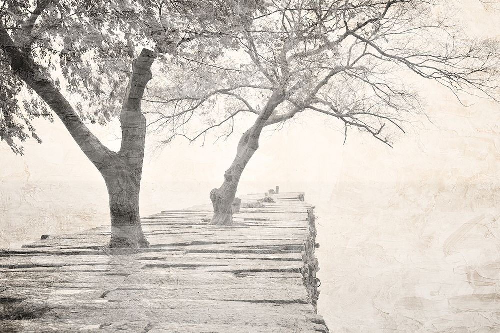 Tree Pier art print by Kimberly Allen for $57.95 CAD