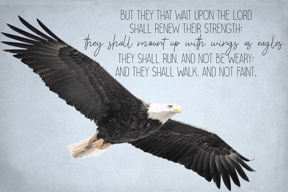 Wings art print by Kimberly Allen for $57.95 CAD