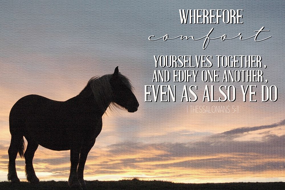 Comfort art print by Kimberly Allen for $57.95 CAD