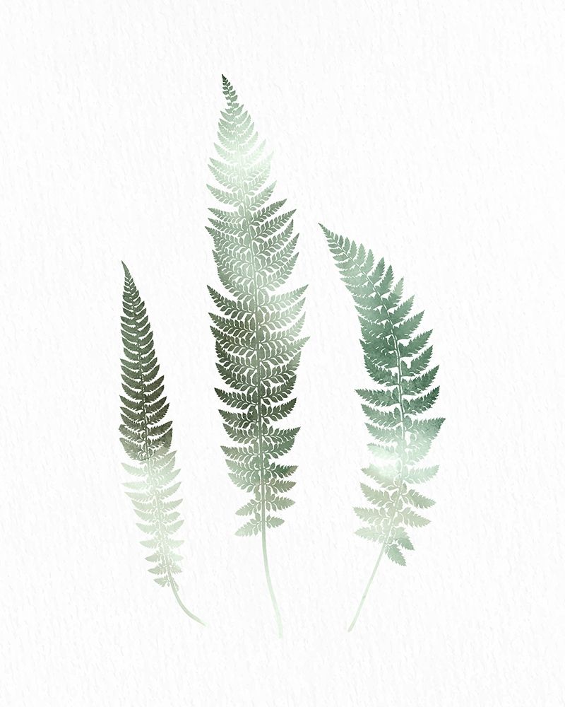 Watercolor Greens 3 art print by Kimberly Allen for $57.95 CAD